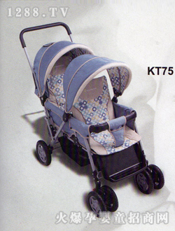 (i)냺܇(ch)KT75